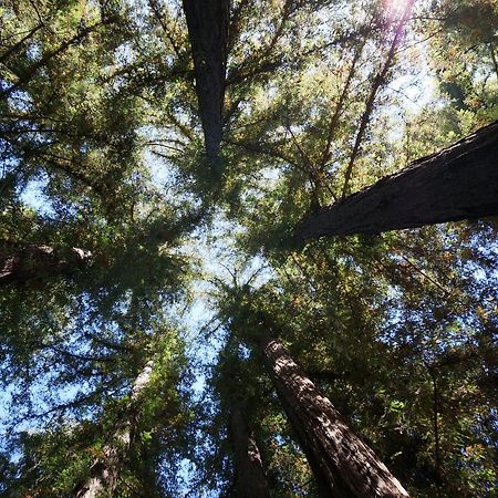 Riverside Campground & Cabins Big Sur Esterno foto